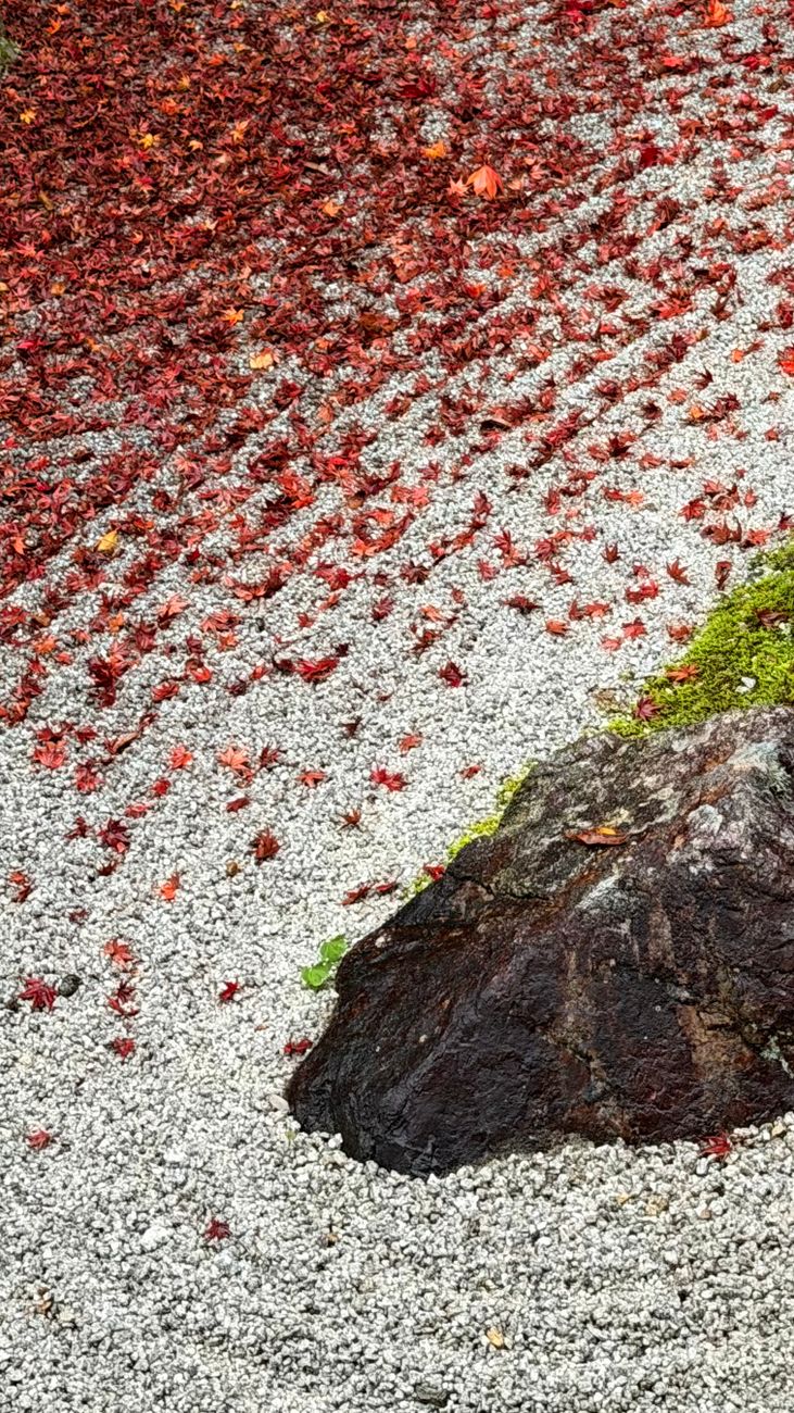 Detailed shot of Japanese moss garden with raked gravel